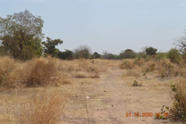 Songdin, Burkina Faso